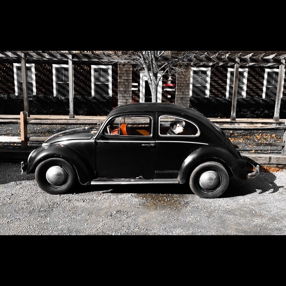 Meet your Posher, Craig - Picture 1 of 1